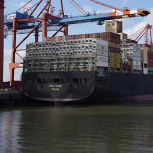 Containerschiff von MSC in Hamburg