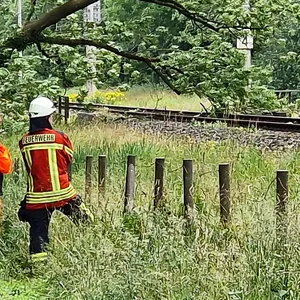 Umgestürzter Baum auf einer Bahnstrecke (Symbolbild).