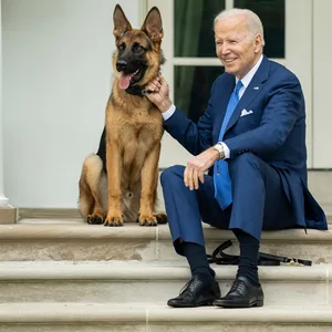 US-Präsident Joe Biden mit seinem Hund „Commander“ vor dem Weißen Haus.