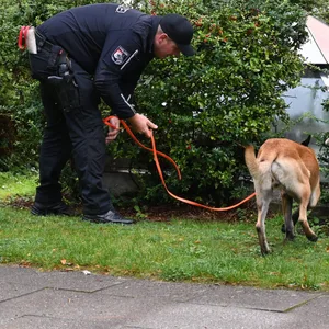 Ein Beamter sucht mit einem Polizeihund nach der Tatwaffe.
