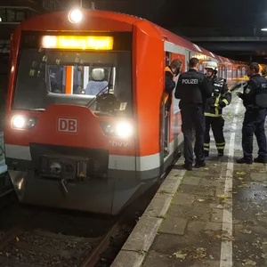 Die S-Bahn mit rund 350 Fahrgästen musste notbremsen.