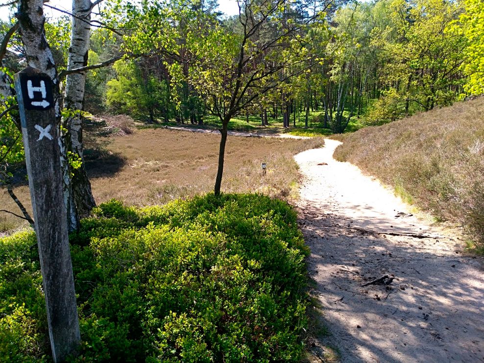Heidschnuckenweg