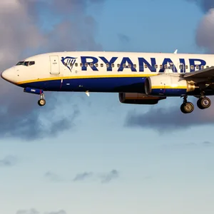 Eigentlich sollte das Flugzeug von Ryanair in Hamburg landen – doch weit kam es nicht. (Symbolfoto)
