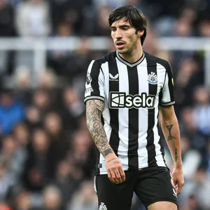 Sandro Tonali im Trikot von Newcastle United