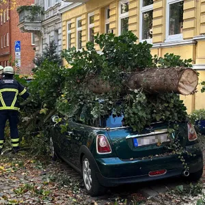 Sturmböen in Hamburg – Kastanie begräbt Autos unter sich