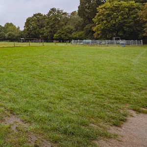 Die Festwiese in Duvenstedt: Hier sollen bald 320 Flüchtlinge in einer neuen Unterkunft leben.