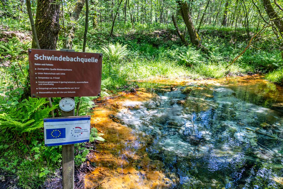 Schwindequelle