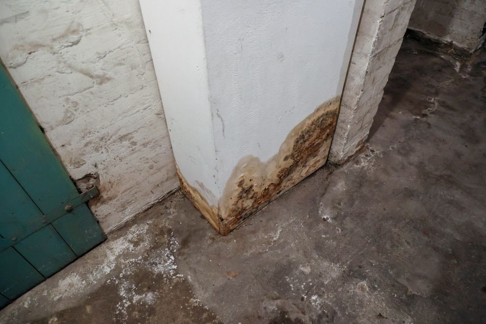 Im Keller des Hauses sind Wasserrückstände und an einer Stelle auch Schimmel zu sehen.