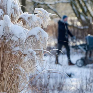 Auf bis zu -8 Grad können die Temperaturen in den kommenden Tagen fallen.