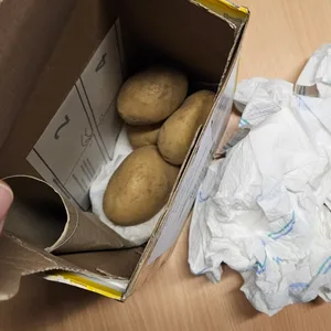 Ein Mann aus Bückeburg bekam statt Gold Kartoffeln geliefert – die werden höchstens neben Zwiebeln und Speck in der Pfanne goldbraun.