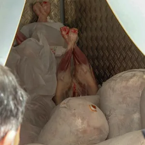 Angetautes Fleisch, Essen auf dem Boden: Da vergeht einem der Appetit.
