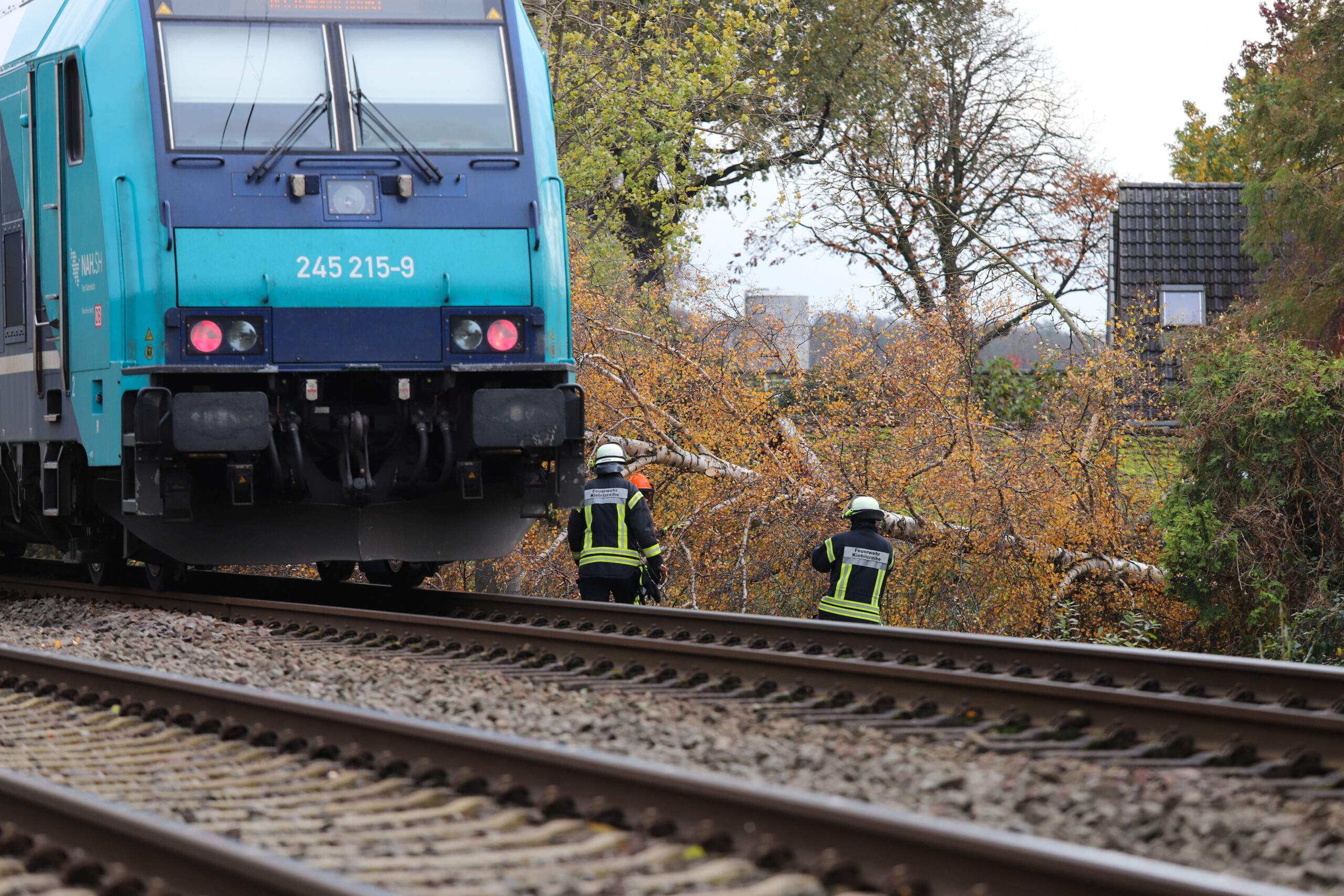 Der Zug kollidierte mit dem gefällten Baum – die Strecke Hamburg – Westerland war 45 Minuten lang gesperrt.