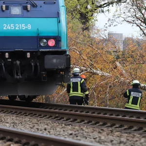 Der Zug kollidierte mit dem gefällten Baum – die Strecke Hamburg – Westerland war 45 Minuten lang gesperrt.