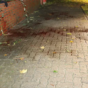 Auf dem Gehweg sind große Blutflecken zu sehen.