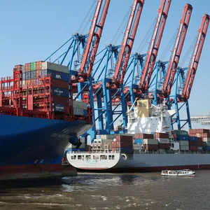 Containerschiffe liegen am Terminal Tollerort der Hamburger Hafen und Logistik AG (HHLA)