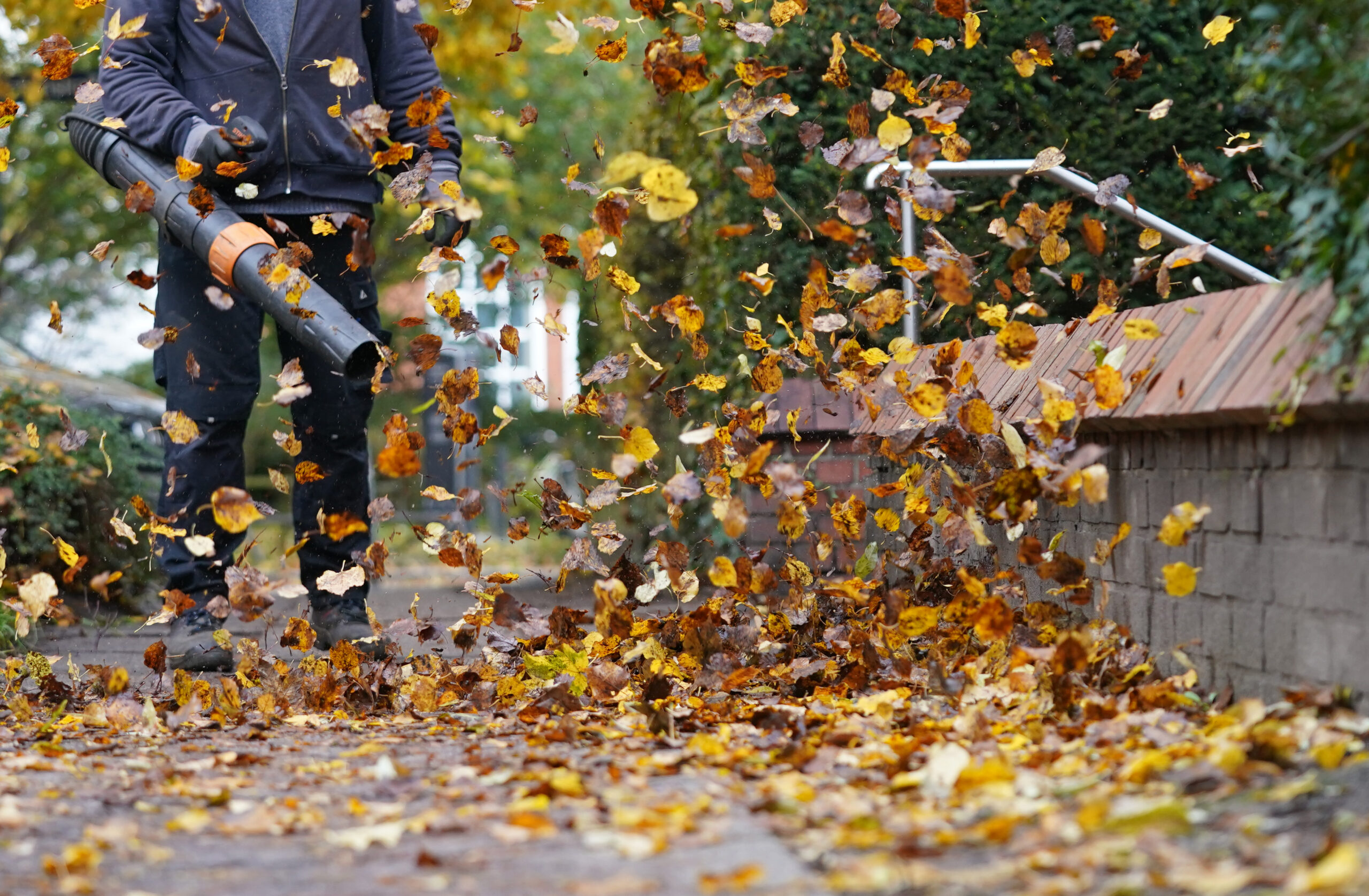 Ein Mann entfernt mit einem Laubbläser das Herbstlaub von einem Gehweg.