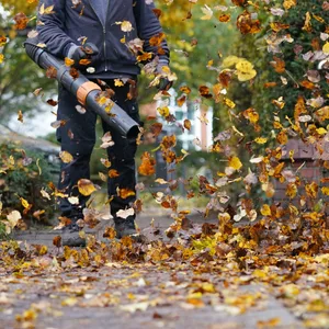 Ein Mann entfernt mit einem Laubbläser das Herbstlaub von einem Gehweg.