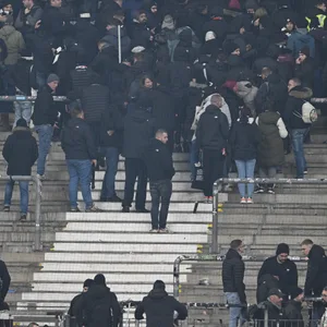 Frankfurt-Ultras