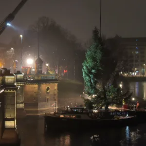 Am Sonntagabend wurde die traditionelle Alstertanne aufgestellt.