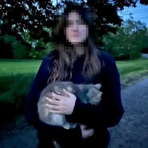 Das seit Montag vermisste 13-jährige Mädchen aus Hamburg ist am Dienstag wieder aufgetaucht.