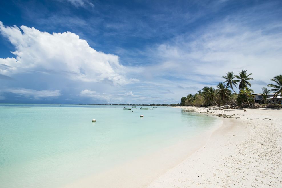 Palmen, weißer Strand und türkises Wasser: In gut 100 Jahren könnte das Südsee-Paradies Tuvalu komplett im Meer versunken sein