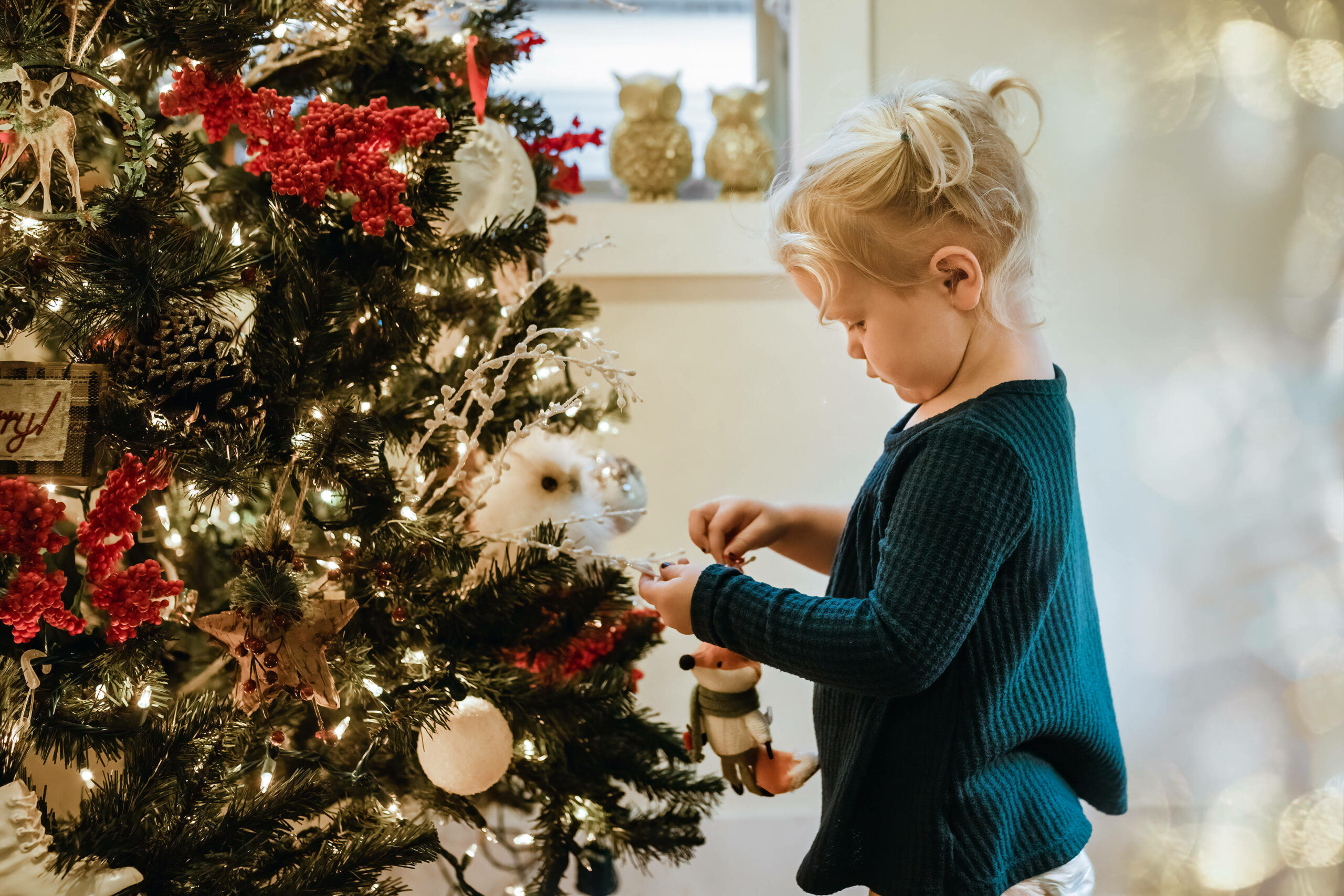 Den Weihnachtsbaum schmücken – ein Highlight für alle Kinder