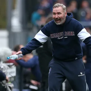 Tim Walter, HSV-Trainer