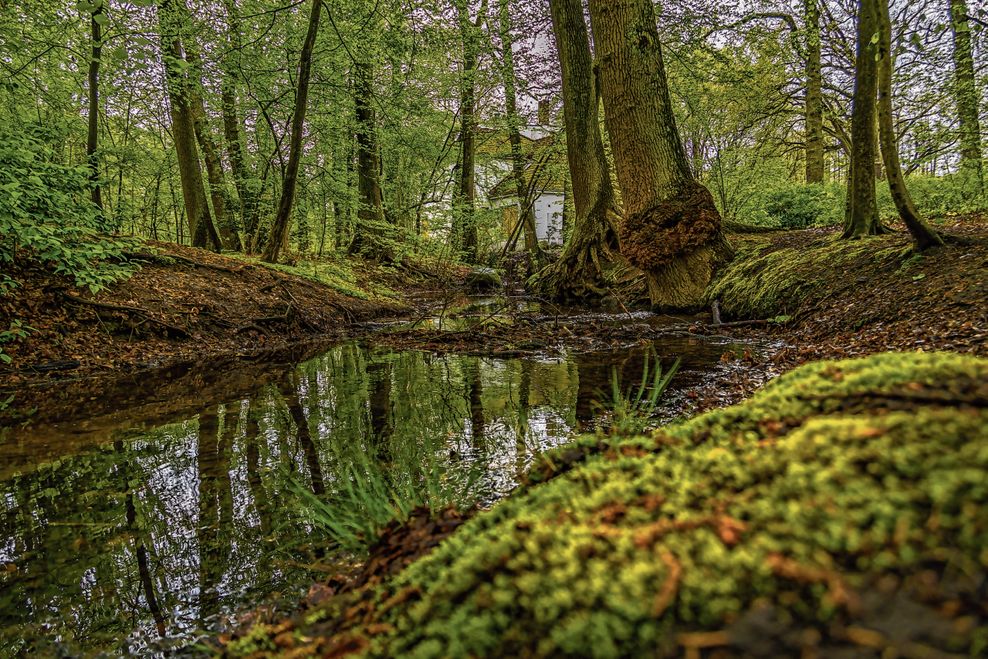 Die Glinder Au fließt unweit des Gebäudes durch eine idyllische Landschaft.