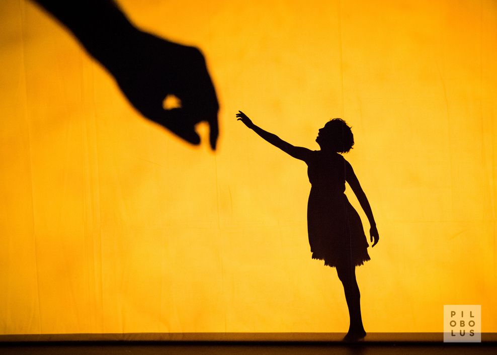 Spiel mit Licht und Schatten: Die Show „Shadowland“ hat schon viele Zuschauer begeistert.