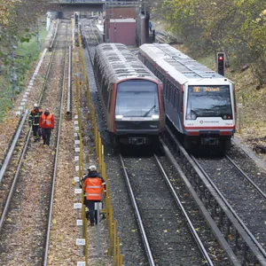 Zwei Züge vor dem Bahnhof Berne: Die Schienen wurden stromlos geschaltet, damit die Äste entfernt werden konnten.