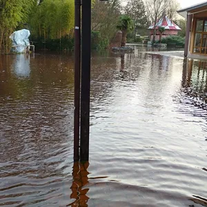 Teile des Serengeti-Parks sind überflutet
