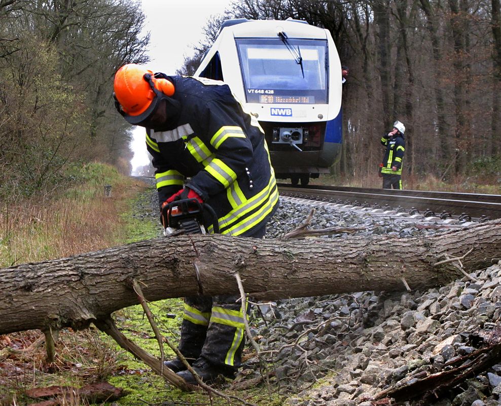 Feuerwehrleute räumen ein Bahngleis, das von einem umgestürzten Baum blockiert wird (Symbolbild).