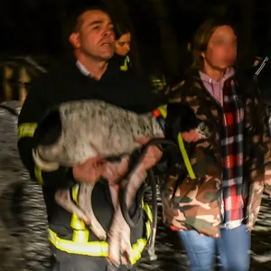 Die Frau rettete ihren Hund aus dem Eis – und brach dann selber ein. Sie wurde mit einer Unterkühlung ins Krankenhaus gebracht.