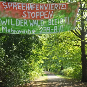 Wilder Wald