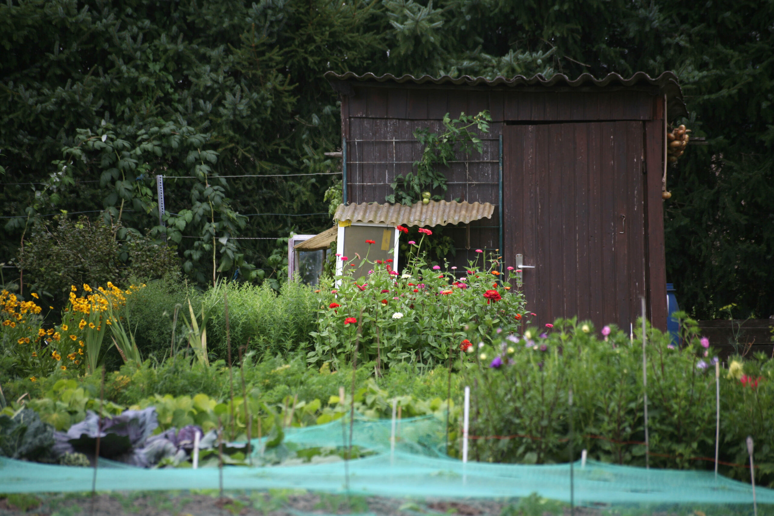 Gartenlaube in einem Kleingartenverein (Symbolfoto)