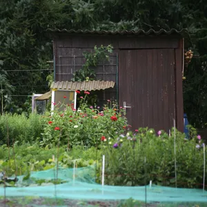 Gartenlaube in einem Kleingartenverein (Symbolfoto)