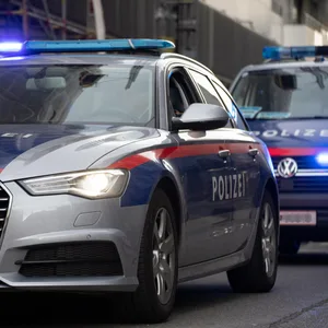 Fahrzeuge der Polizei in Österreich (Symbolfoto).