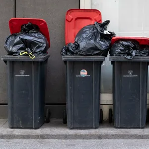 Symbolbild: Mülleimer stehen vor einer Hauswand.