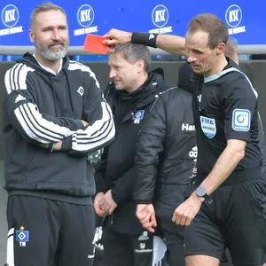 HSV-Trainer Tim Walter sieht die Rote Karte durch Sascha Stegemann
