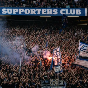 HSV Fans und Supporters Club