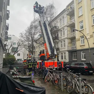 Die Feuerwehr holt mit einer Drehleiter die Matratze aus dem Baum.