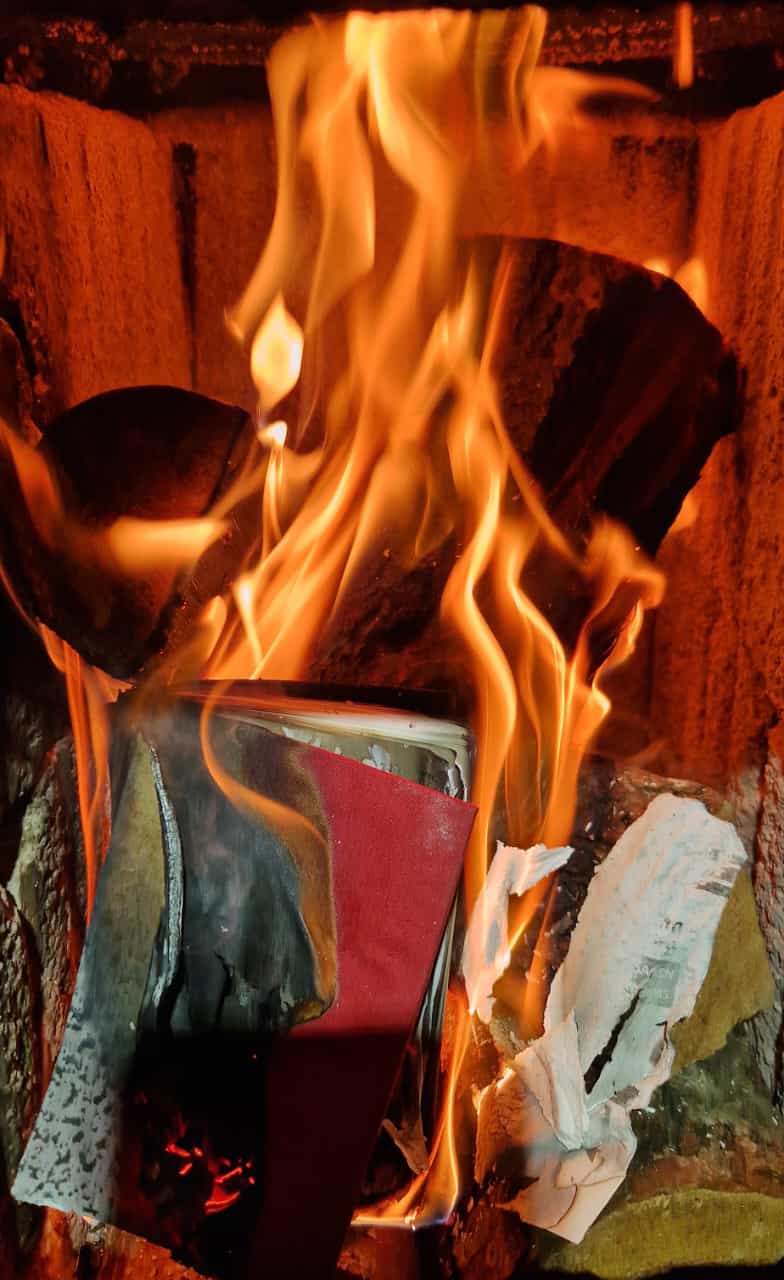 Ein SPD-Parteibuch brennt