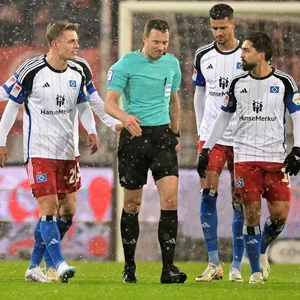 HSV-Profis reden nach dem 1:0 für St. Pauli auf Schiedsrichter Felix Zwayer ein