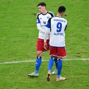 Dennis Hadzikadunic und Robert Glatzel klatschen ab