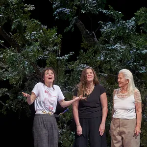 Fünf Frauen auf der Bühne, sie stehen vor einem riesigen Baum