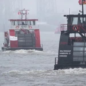 Der Jugendliche ist im Hamburger Hafen von einer Hadag-Fähre in die Elbe gestürzt (Symbolfoto).