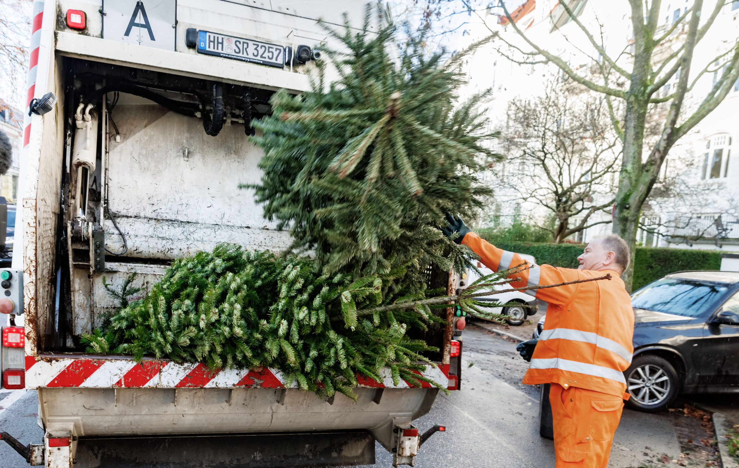 Eben noch Weihnachtsbaum, jetzt schon Grünabfall – die Stadtreinigung nimmt die ausgedienten Tannen mit.