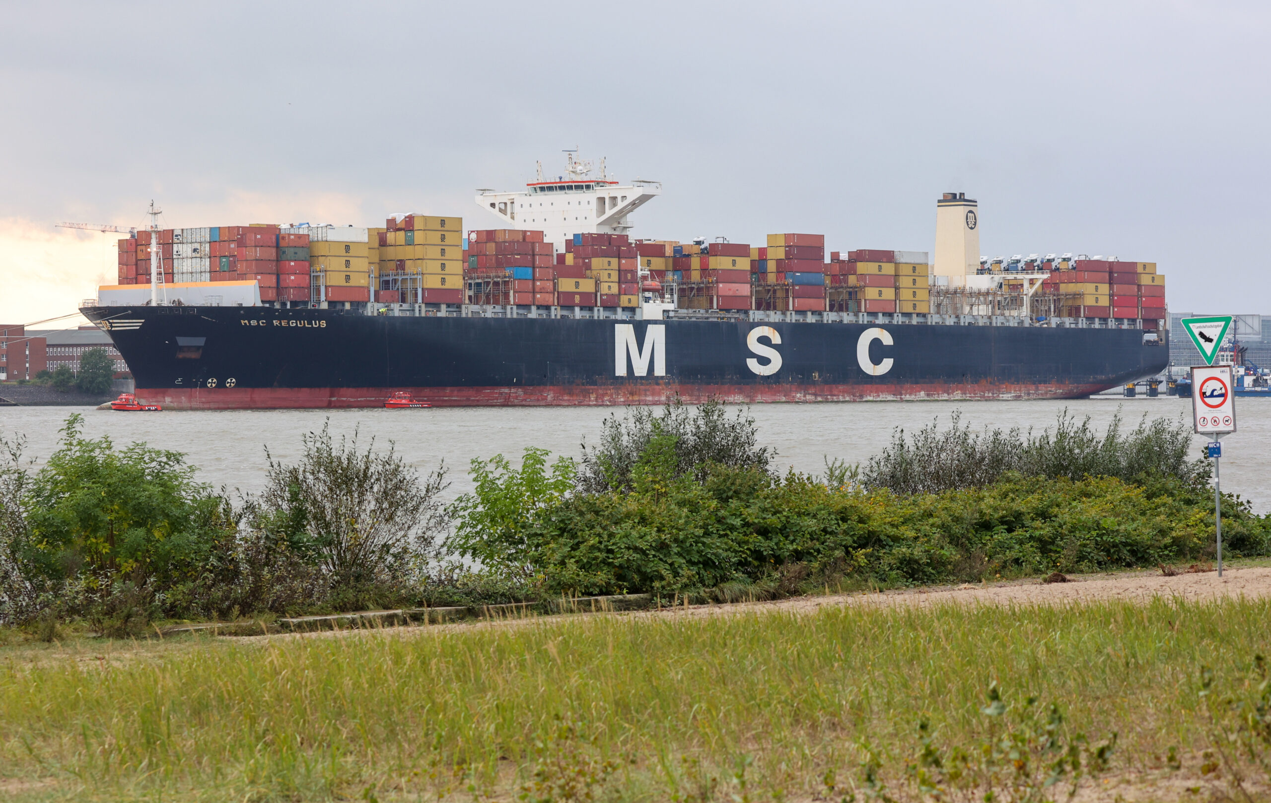 Das Containerschiff „MSC Regulus“ liegt auf der Elbe in Höhe von Finkenwerder.