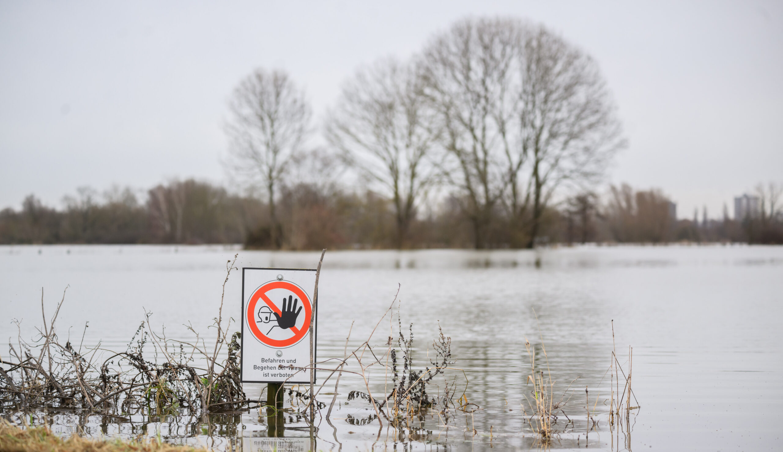 Ein Schild „Befahren und Begehen der Wiese ist verboten“ steht an einer überfluteten Wiese an der Leinemasch in der südlichen Region Hannover.