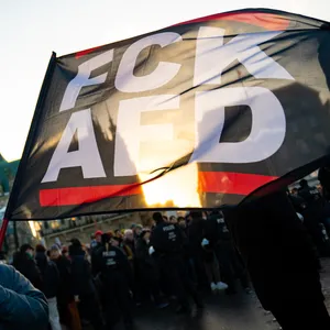 Eine Frau hält auf einer Demo vor dem Hamburger Rathaus eine Fahne mit der Botschaft „FCK AFD“ in der Hand.